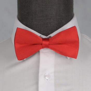 Бабочка мужская 0016