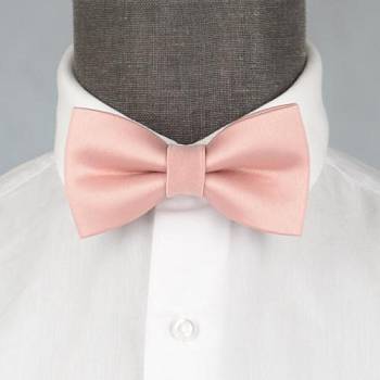 Бабочка мужская 0242