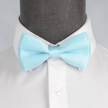 Бабочка мужская 0168