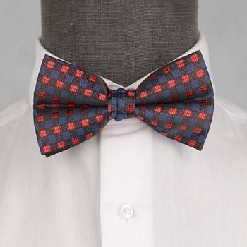 Бабочка мужская 0111