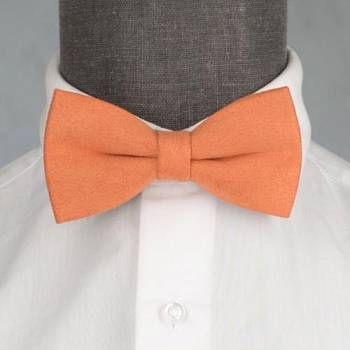 Бабочка мужская с платком 0263