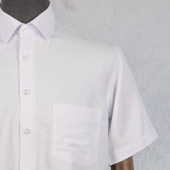 Рубашка мужская Genus Glad 179TGT к/р