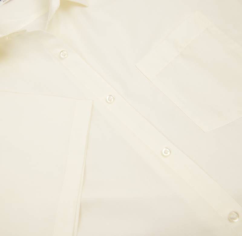 Рубашка мужская Grossir 1013G к/р